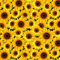 TT Yellow Packed Metallic Sunflowers