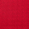 SF Cardinal Dottie Cuddle 90in Wide