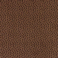 SF Cocoa Dottie Cuddle 90in Wide