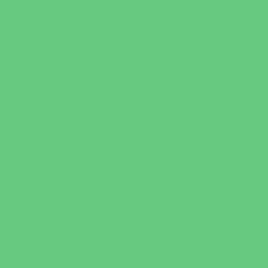 FS Tula Pink Solids - Cricket || Tula Pink Solids