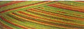 Cotton Quilting Thread 3-ply 40wt 3000yds Variegated Citrus