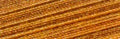 Cotton Quilting Thread 3-ply 40wt 3000yds Variegated Peachy Tones
