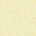 Cream Pine Boughs Star of Wonder Star of Light Cotton Wideback Fabric Per Yard