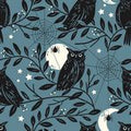 DW Spellbound- Midnight Watch