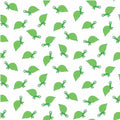 MM Mini Turtle White