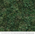 NC Bliss Basic 23887-78 Evergreen