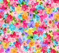 NC Inspired Multi Floral