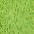 SF Lime Dreamy Fur 58/60
