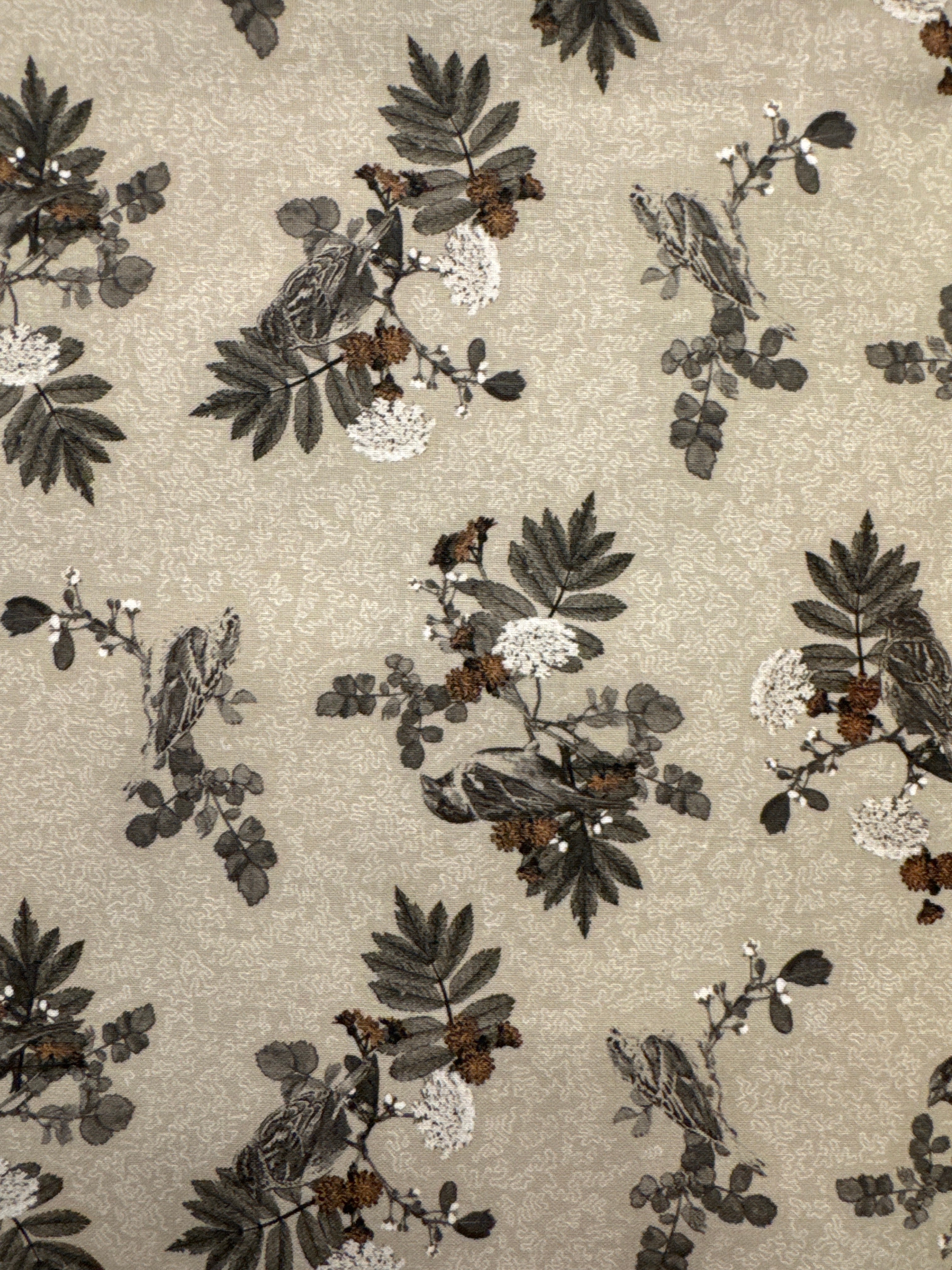 BF Natures Whisper Branches Clay