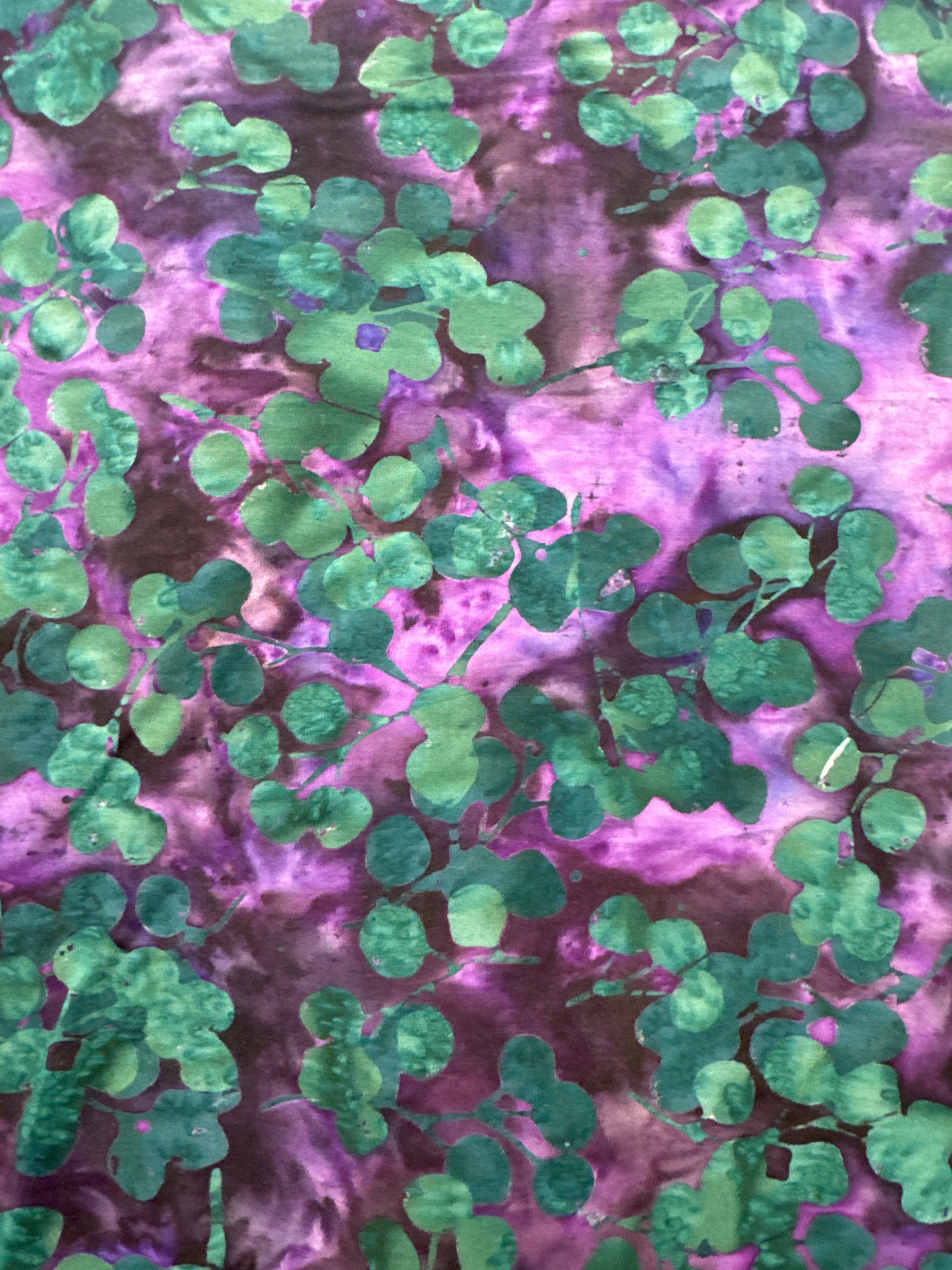 HO Vegetation Leaves Grape
