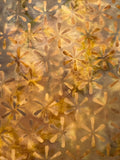LB Asterisk Print Light Brown