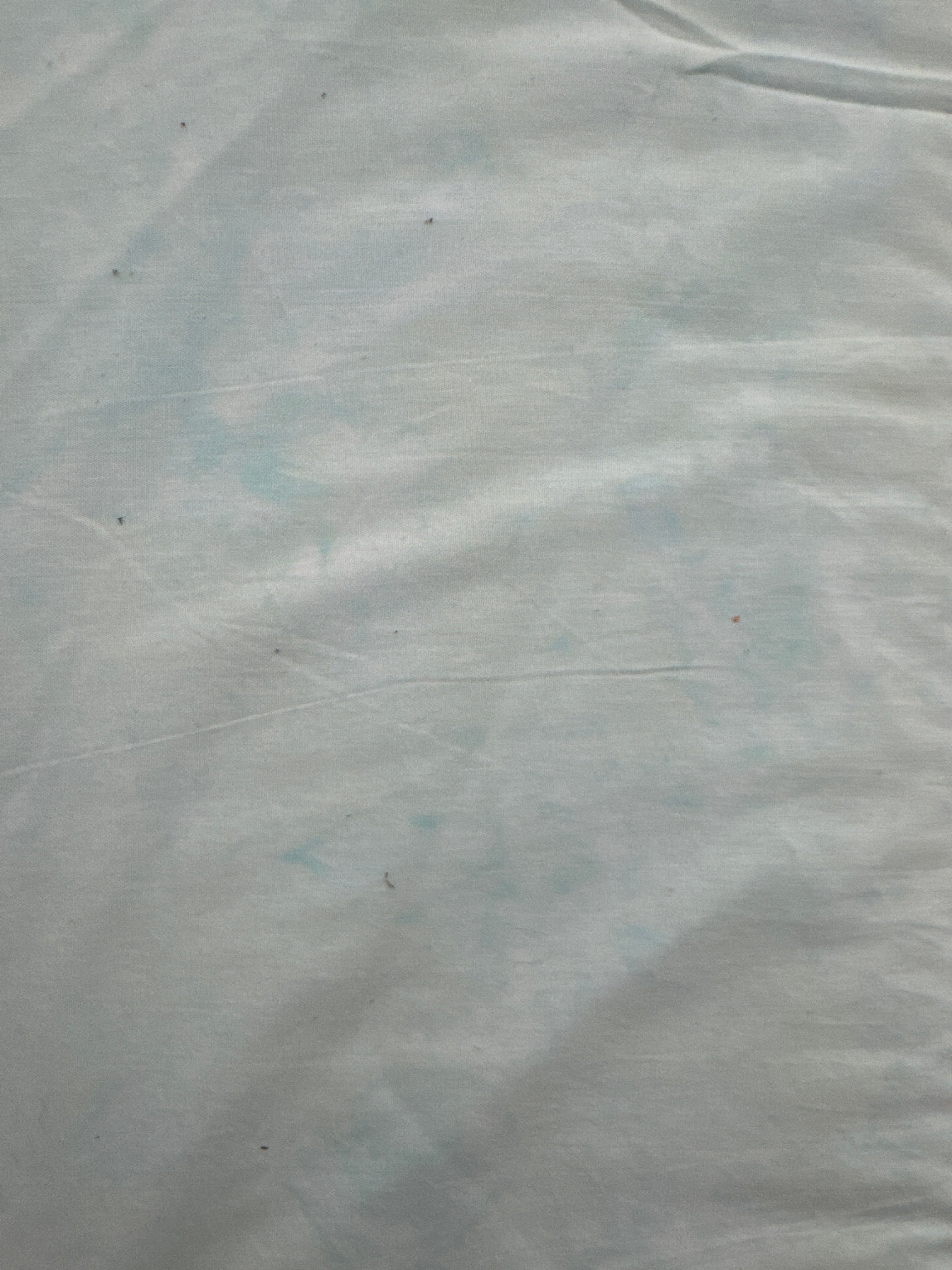 RB Expressions Twisted Teal