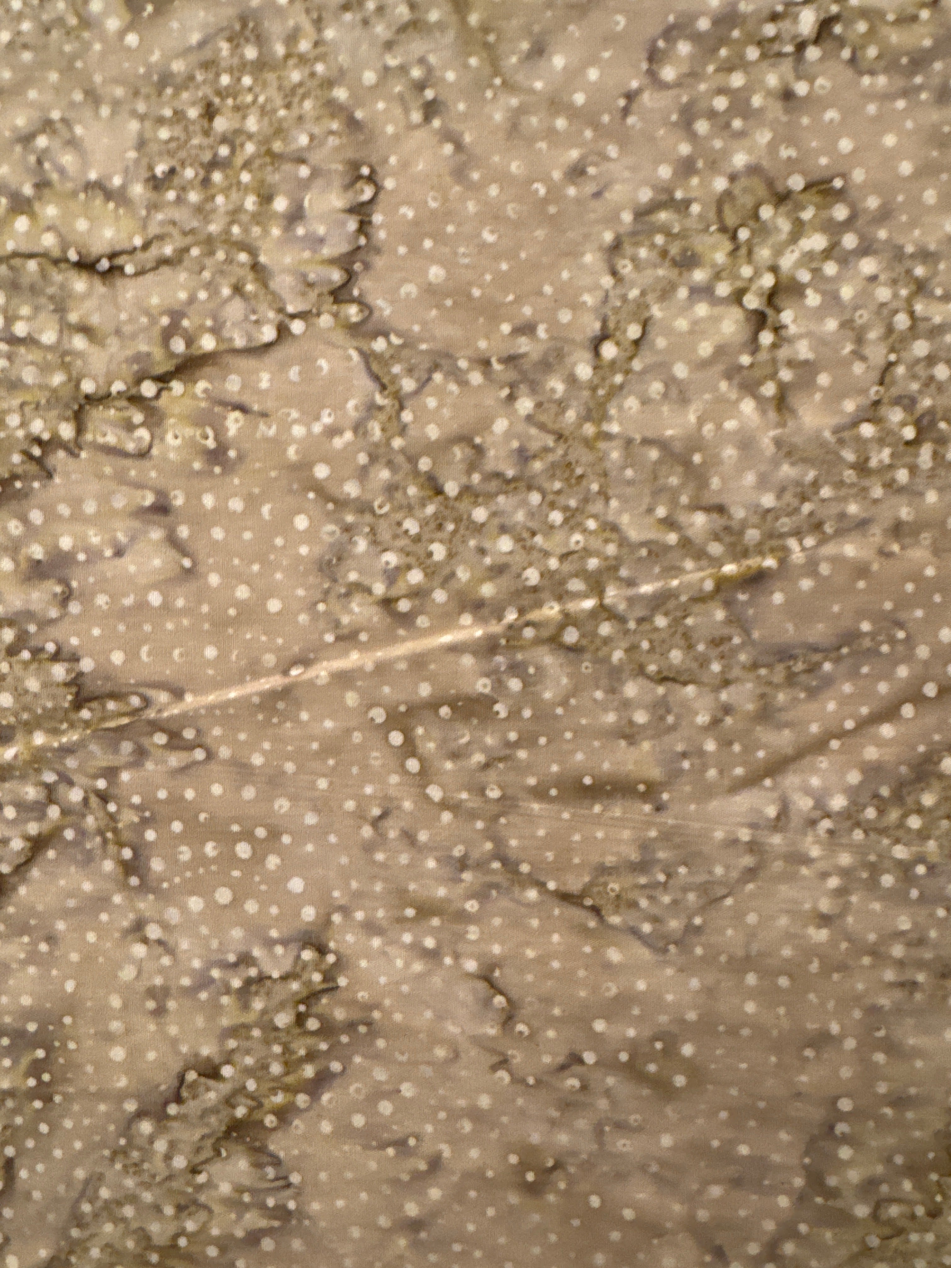 TT Small Dots Wicker