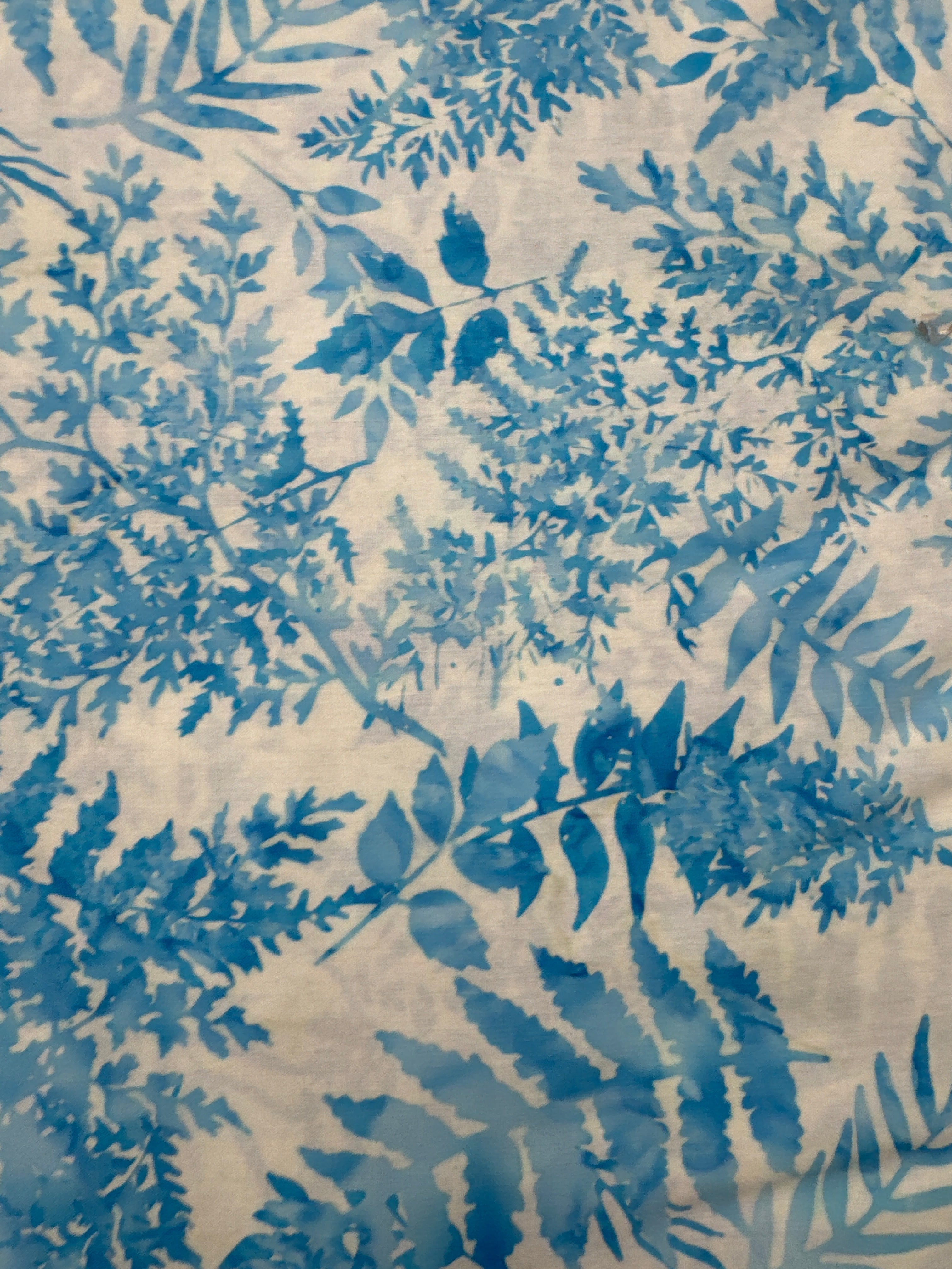 HO French Blue Leaves