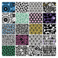 Black, White and Bloom 20 piece Fat Quarter Bundle
