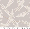 FI Ferns Gray The Botanist