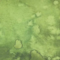 Green Fern Flow Cotton Wideback Fabric Per Yard