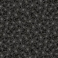 PB Allover Webs-Black-Hocus Pocus