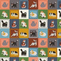 Here Kitty, Kitty Cat Squares 43"/44" Fabric Per Yard