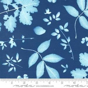 MO Bluebell Herschel Florals