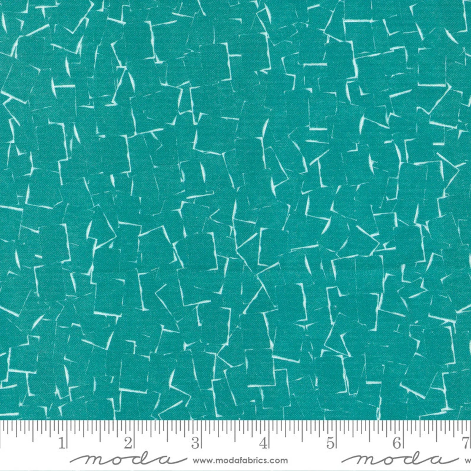 MO Bluebell Teal Shadowgraph