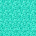 FI Acid Wash Mint