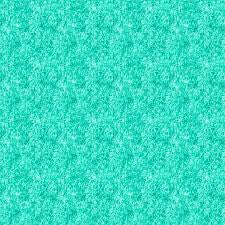 FI Acid Wash Mint