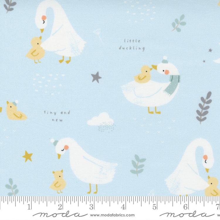MO Little Ducklings Blue