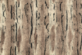 SF Luxe Cuddle Pewter/Beige Mountain Fox