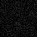 MY Web of Roses