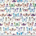 Multi Boho Flutter Digital Cuddle Fabric per yard