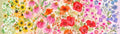 Multi Superbloom Pastel 44"/45" Fabric Per Yard