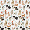 PBS Happy Howlidays Dog Christmas
