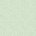 CW Starry Rain-Sky Adventures-Light Green