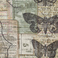 FS Neutral Melange PWTH001-Tim Holtz