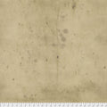 FS Provisions-Linen Tim Holtz PWTH115