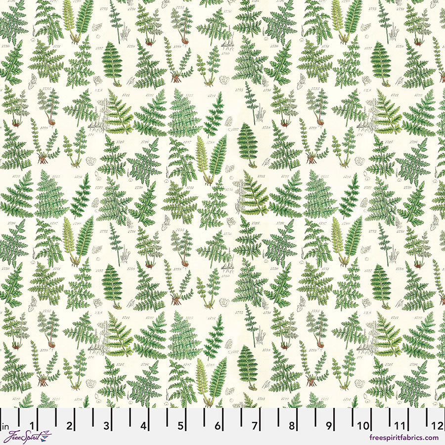 FS Green - Ferns Tim Holtz PWTH265