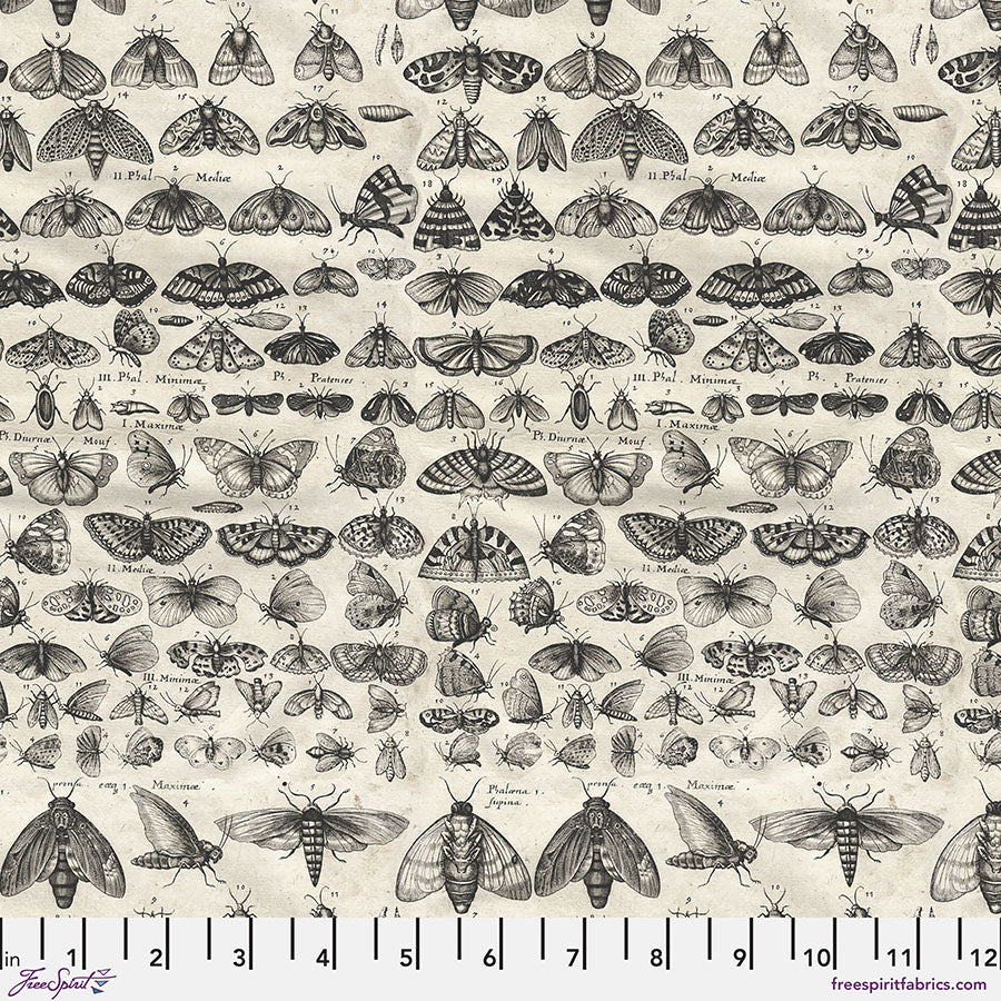 FS Charcoal Moths - Charcoal || Palette Charcoal-Tim Holtz
