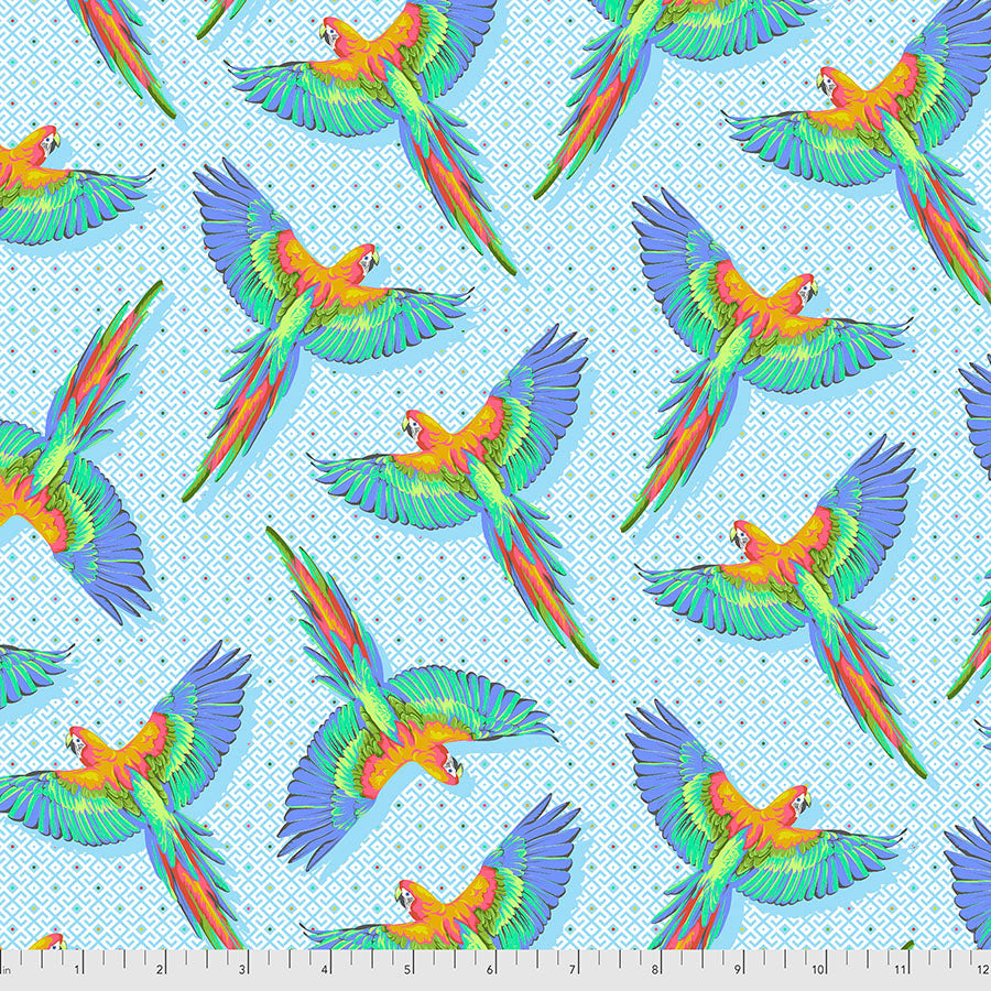 FS Macaw Ya Later-Daydreamer-Cloud