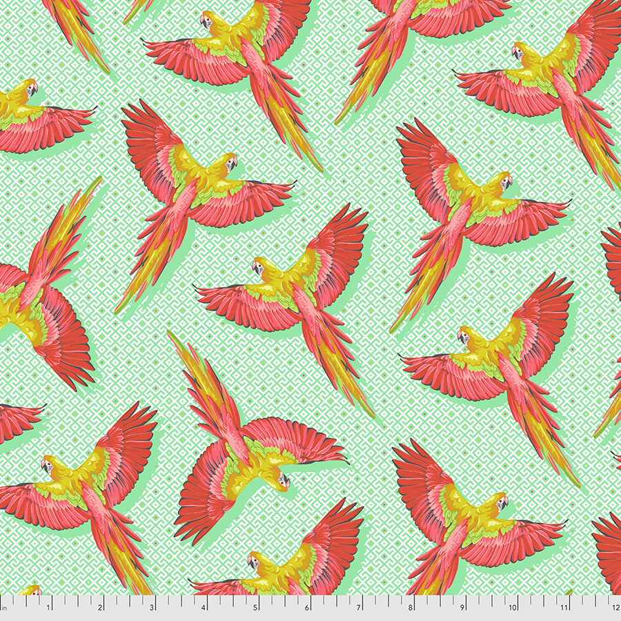 FS Macaw Ya Later- Daydreamer-Mango