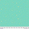 FS Space Sprinkles - Seaglass || Tula Pink True Colors