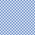 SF Blue Bonnet Cottage Rose Lane Gingham Quilting Cuddle