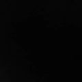 Quilting Cuddle Solid Black Fabric per yard