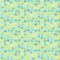 DS Sea Pineapples