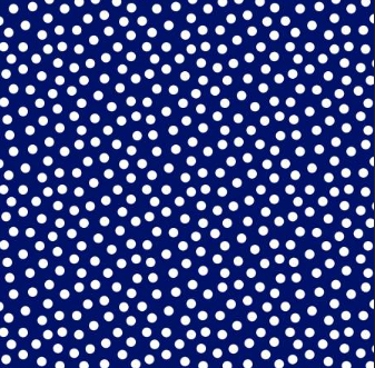 WL White on Navy On the Dot