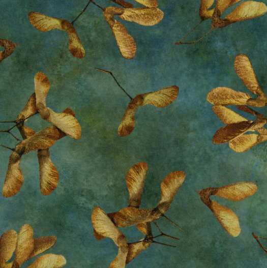 NC Mid Teal Maple Keys Stonehenge Autumn Splendor