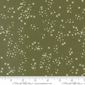 MO Moss Shadow Stitch Confetti Dawn on the Prairie-Fancy that Design House