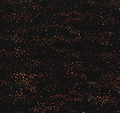 HO Batik Spice Dots