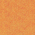Shimmer Tutti Fruiti Cotton 44"/45" Fabric Per Yard