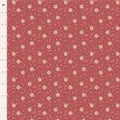 TIL Sanctuary Daisydream Rhuba 100563
